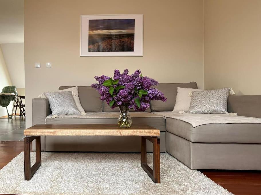 Apartament Hemingwaya Jelenia Gora Exterior photo